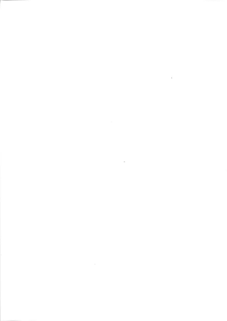 Jahresbericht 1978-1979 Deckblatt