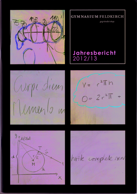 Jahresbericht 2012-2013 Deckblatt